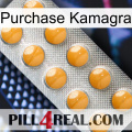 Purchase Kamagra levitra1